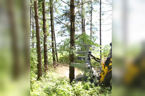 BAUMALIGHT FELLER BUNCHER