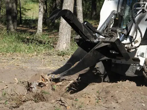 Erskine stump bucket grapple for skid steer loader