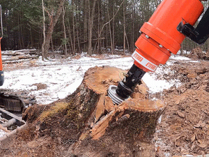 ETERRA Stinger Spiral Splitter