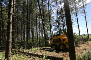 BAUMALIGHT FELLER BUNCHER