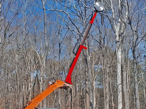 FECON Trim Ex Tree Saw