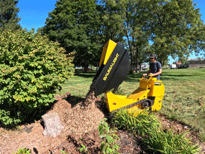 Baumalight DT515RH Self Propelled Track Mini Dumper