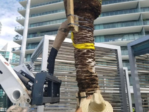 VIRNIG Pluma / Jib para minicargadora