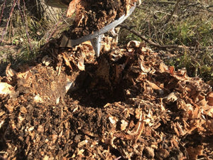 PREMIER stump planer bit