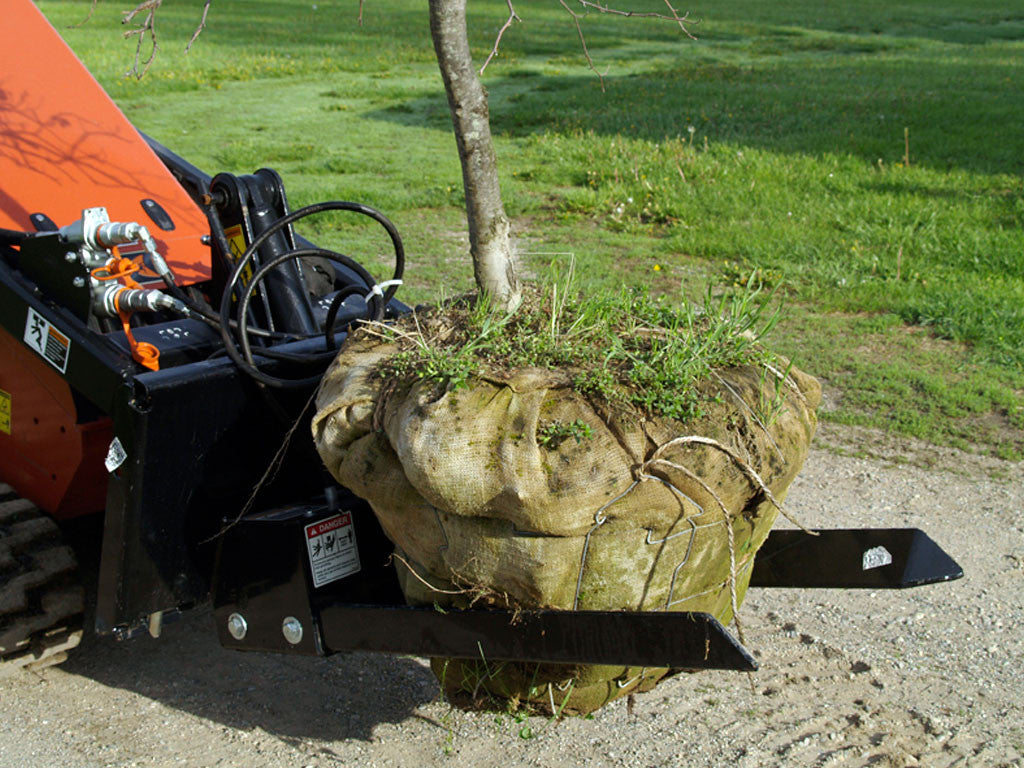 Horquillas de árbol