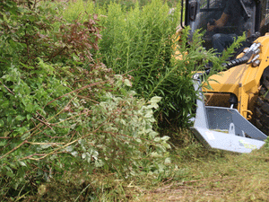 Baumalight CF572 Open Front Rotary Brush Cutter | 72" Skid Steer Brush Mower