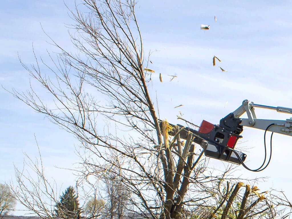 Mongo attachments rotary brush cutter for 6000 to 20000 lbs. excavators