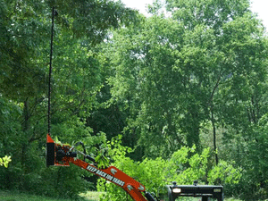 ETERRA Raptor Mounted Sickle Bar Mowers