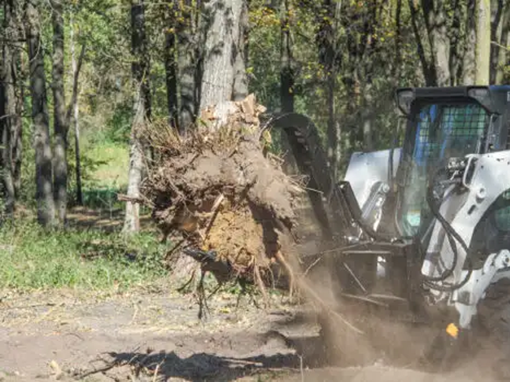 Erskine stump bucket grapple for skid steer loader