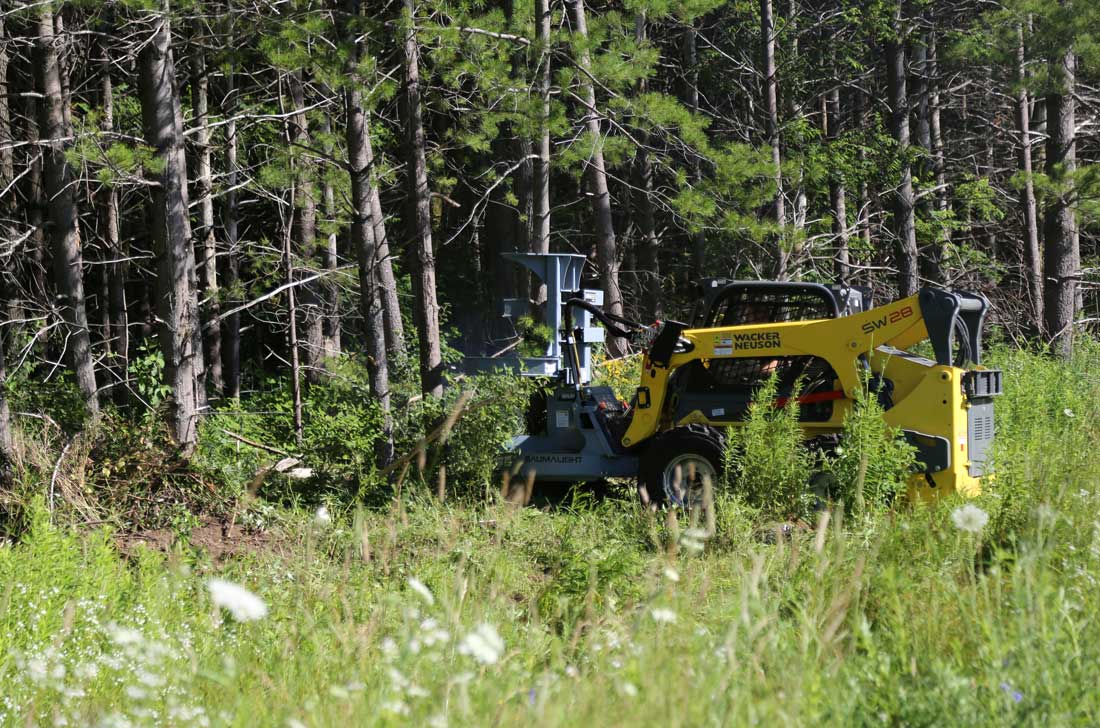 BAUMALIGHT FELLER BUNCHER