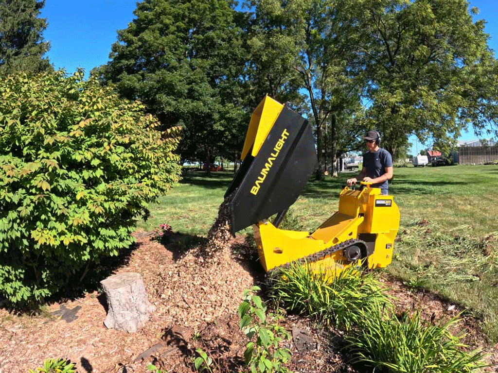Baumalight DT515RH Self Propelled Track Mini Dumper