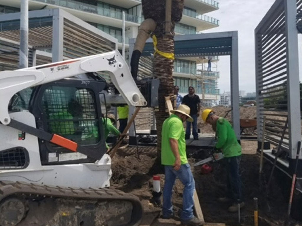 VIRNIG Pluma / Jib para minicargadora