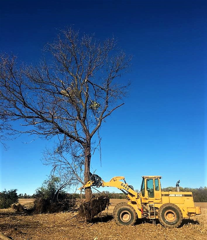 CL FABRICATION DOMINATOR tree puller