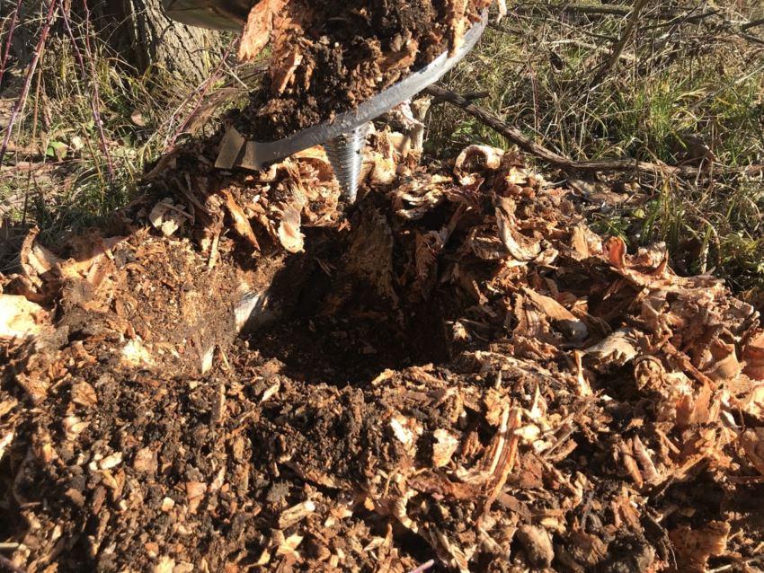 PREMIER stump planer bit